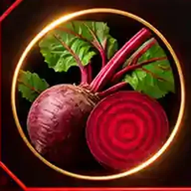 Whole and sliced beet root