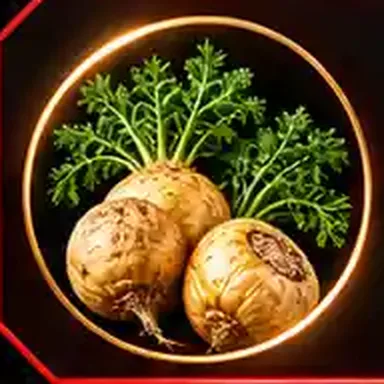 Maca roots with green tops